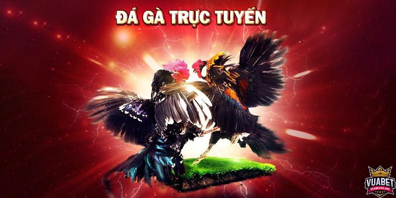 Đá Gà Vuabet88 - Tinh Thần Chiến Binh ở Văn Hóa Đông Nam Á 2 Cách đăng ký chơi Đá Gà chi tiết cho người mới