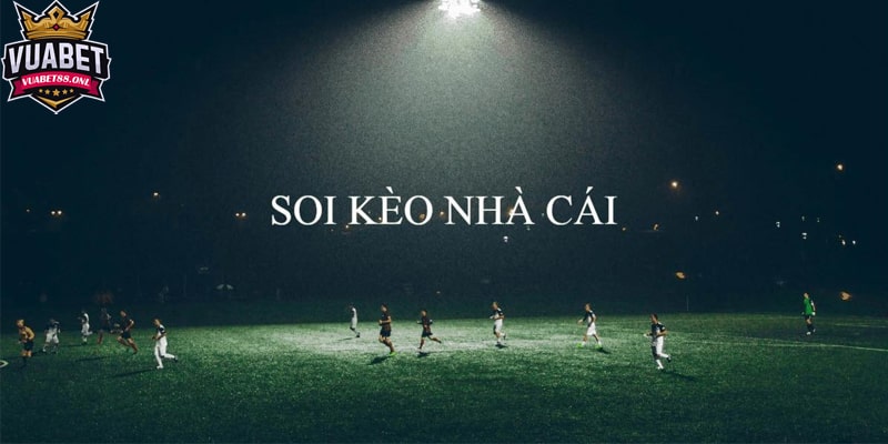 Thế nào là kèo nhà cái? Khám phá về tỷ lệ kèo nhà cái và các loại kèo phổ biến 3 Các loại kèo nhà cái