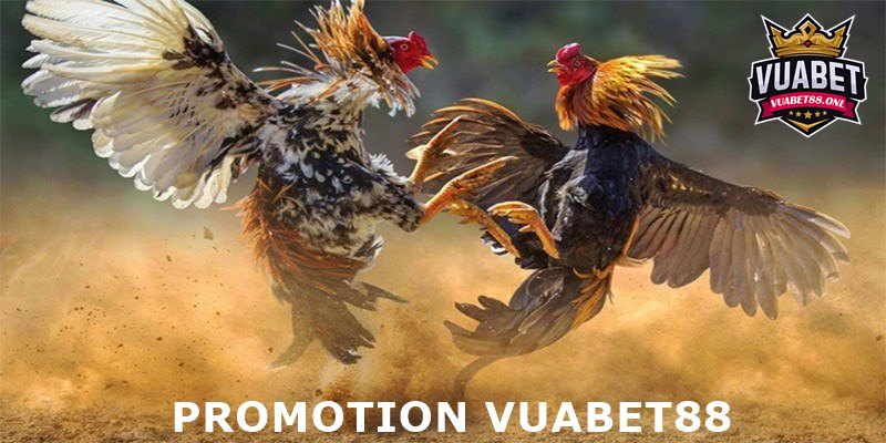 Link Đá Gà, Cập Nhật Chính Chủ, Mới Nhất 2024 Bởi Vuabet88 4 Khuyến mãi hấp dẫn